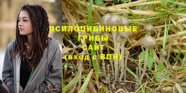трава Арсеньев