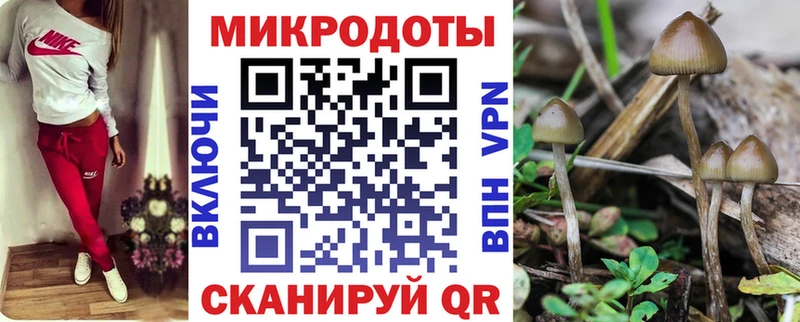 Галлюциногенные грибы мухоморы  где купить наркотик  ОМГ ОМГ как войти  Козьмодемьянск 